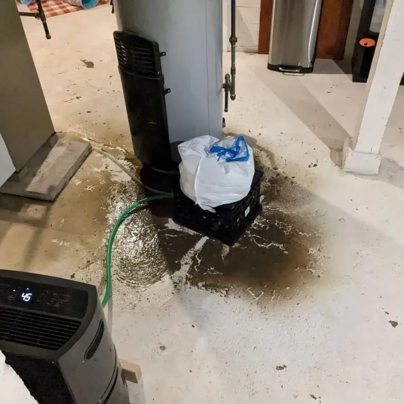 Sewage Backup Cleanup Service in Trevorton, PA